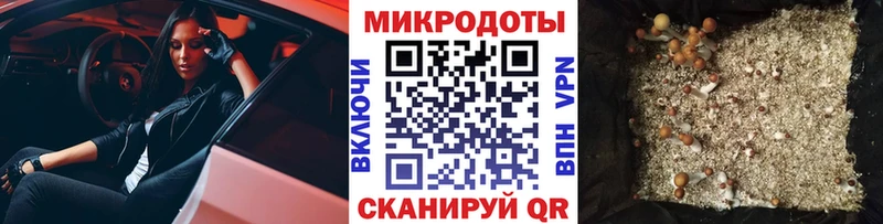 Псилоцибиновые грибы Magic Shrooms  купить наркотики цена  Суоярви 